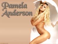 Notes: this took me ages to identify because the spider was only 2 cm long